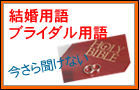 �����p��E�u���C�_���p��